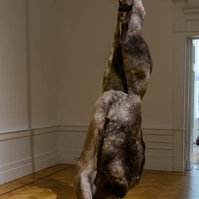 DSC_0656.jpg