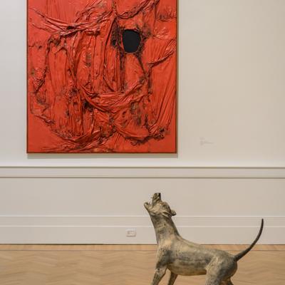 DSC_0663.jpg