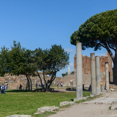 DSC_0800.jpg