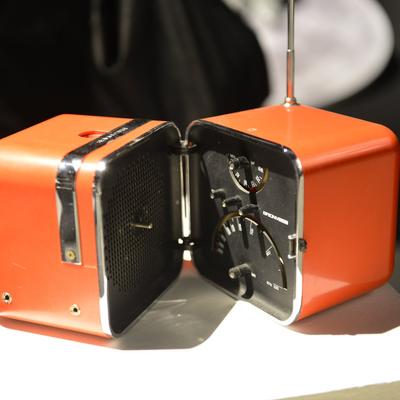 DSC_2009.NEF